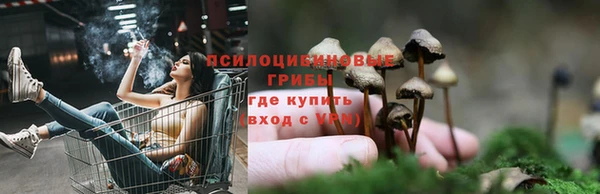 героин Алзамай