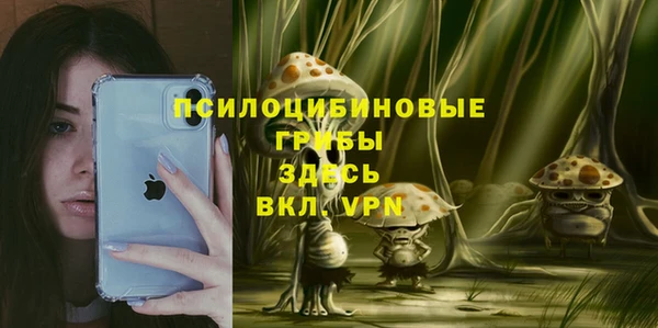 мяу мяу мука Алексеевка