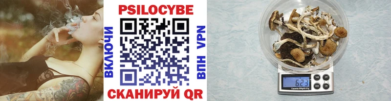 Галлюциногенные грибы прущие грибы  Стародуб 